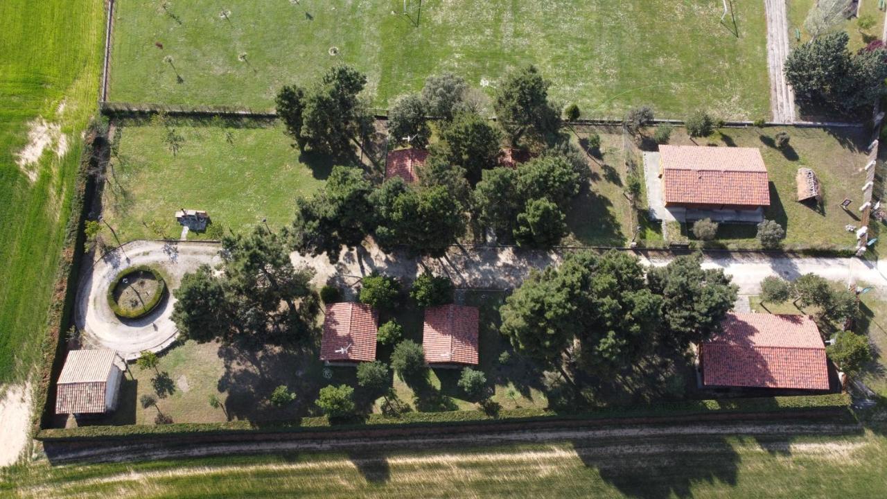 Las Casitas del Pinar Bayubas de Abajo Exterior foto